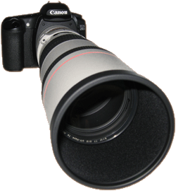 Canon EOS 20D