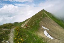 Schlagworte: Alpen – 22. Photo: Schneeball