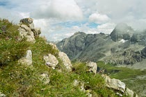 Schlagworte: Alpen – 8. Photo: Fels & Vegetation