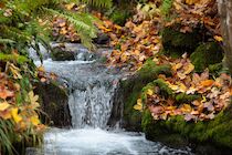 Schlagworte: Herbst – 14. Photo: Wasserlauf