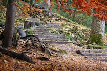 Schlagworte: Blatt – 29. Photo: Herbsttreppe