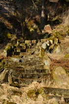 Schlagworte: Moos – 6. Photo: Sonnige Natursteintreppe