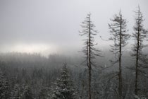 Schlagworte: Nebel – 17. Photo: Fernes Licht