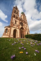 Schlagworte: Freiburg – 16. Photo: Fröhlich