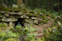 Schlagworte: Moos – 12. Photo: Grotte am Reinsbrunnen