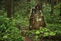 Japan: 9. Photo: Gedenkfelsen im Walde