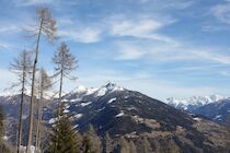 Schlagworte: Berge – 31. Photo: Hinter den Lärchen