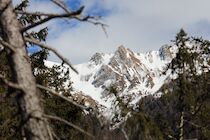 Schlagworte: Berge – 19. Photo: Blick aus dem Wald