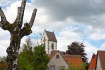 Rosenfeld: 12. Photo: Dorfkirche