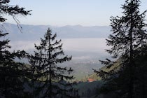 Rubihorn: 3. Photo: Berge, Nebel, Bäume