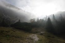 Schlagworte: Alpen – 27. Photo: Weg zum Licht