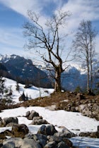 Schlagworte: Berge – 10. Photo: Winterbaum
