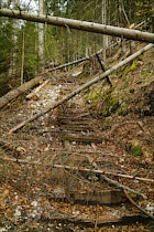Schlagworte: Waldweg – 6. Photo: Treppen-Parcours