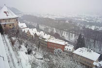 Schlagworte: Winter – 31. Photo: Neckarinsel
