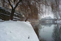 Schlagworte: Ufer – 31. Photo: Neckarufer II
