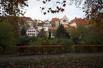 Tuebingen: 24. Photo: Herbst am Neckar