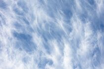 Schlagworte: Himmel – 1. Photo: Federwolken