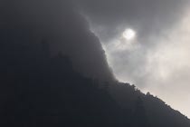 Schlagworte: Nebel – 32. Photo: Sonnenbergnebelbäume