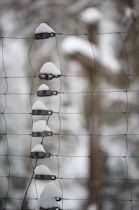 Schlagworte: Winter – 25. Photo: Schneehäubchen