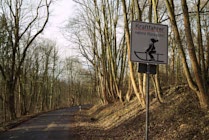 Schlagworte: Göttingen – 32. Photo: Kraftfahrer nehmt Rücksicht