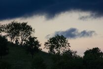 Schlagworte: Wolken – 27. Photo: Abendsilhouette