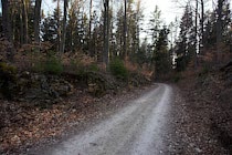 Schlagworte: Waldweg – 14. Photo: Weg in rot und grün