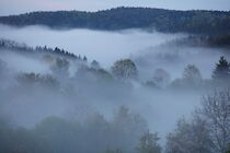 Schlagworte: Nebel – 5. Photo: Dunstschwaden