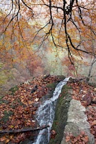 Schlagworte: Wasserfall – 15. Photo: Wasserstrom