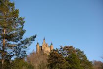Hohenzollern: 1. Photo: Hinter den Kiefern