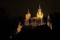 Hohenzollern: 30. Photo: Durch das Geäst