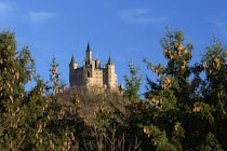 Hohenzollern: 29. Photo: Zwischen den Zapfen