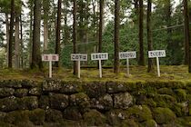 Japan: 10. Photo: Japanischer Schilderwald