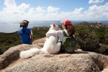 Schlagworte: Hund – 2. Photo: Wandern mit Hund