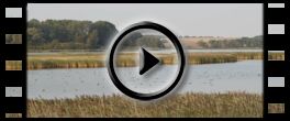 Ruegen: Video Spyckerscher See