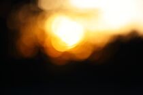 Neu: 12. Photo: Abendbokeh