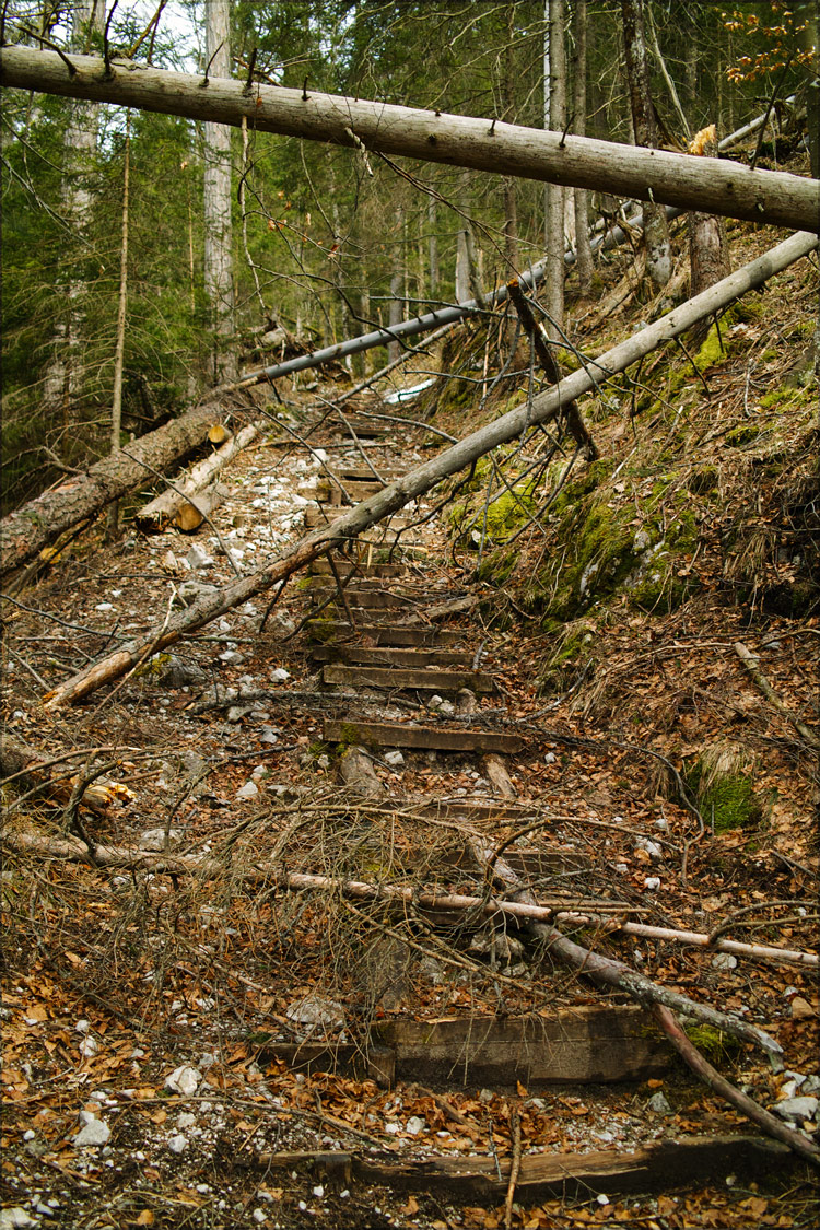 Schlagworte: Treppe – Großes Photo: Treppen-Parcours