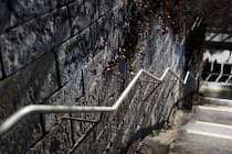 Schlagworte: Treppe – 31. Photo: Abstieg