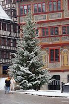 Schlagworte: Tübingen – 3. Photo: Weihnachtsbaum