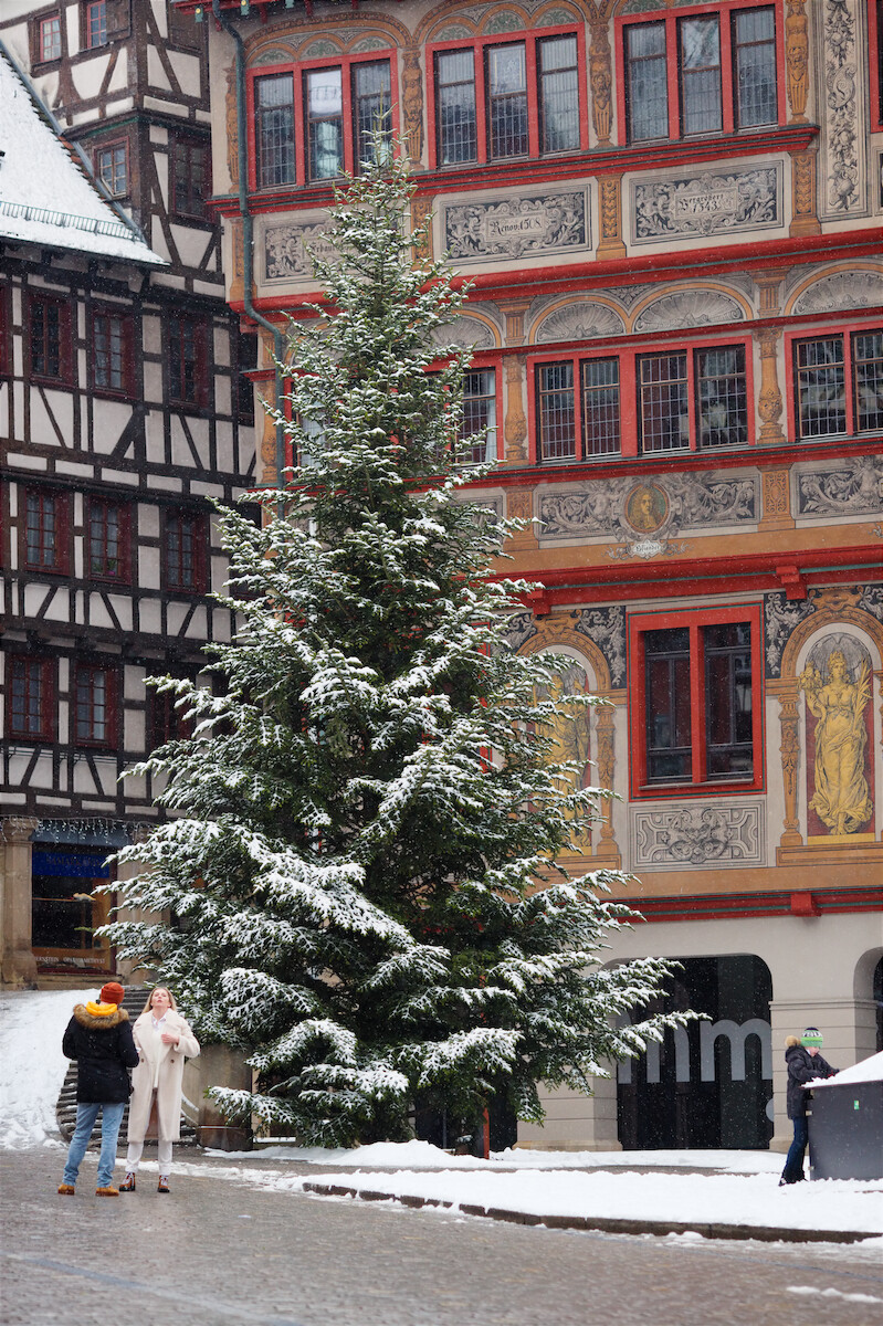 Schlagworte: Ebingen – Großes Photo: Weihnachtsbaum