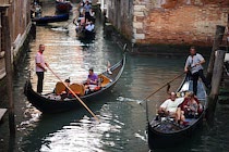 Venedig: 10. Photo: Gondolieri