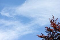 Himmel: 6. Photo: Streifige Wolkenschleier