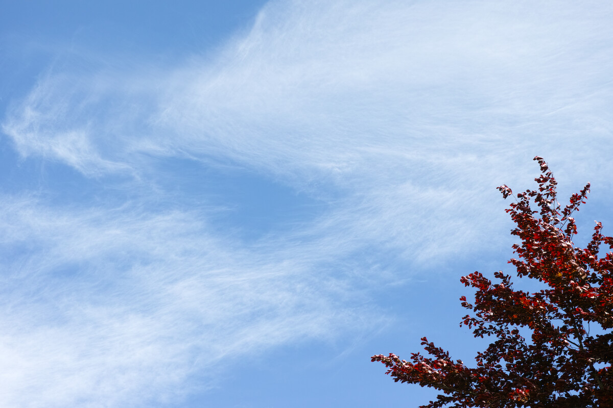 Himmel: Großes Photo: Streifige Wolkenschleier