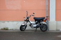 Neu: 3. Photo: Chappy