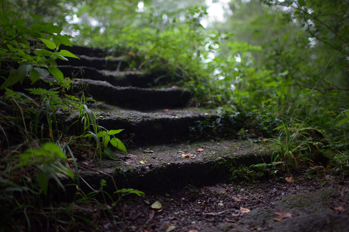 Schlagworte: Treppe – Großes Photo: Treppenstufen