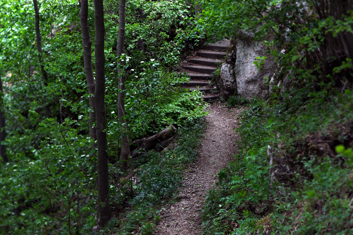 Schlagworte: Treppe – Großes Photo: Weg zur Treppe