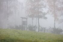 Schlagworte: Nebel – 8. Photo: Herbsthochstand