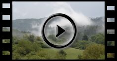 Wetter: Video Schwaden im Wind