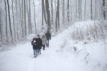 Schlagworte: Spaziergang – 20. Photo: Im Schneewald